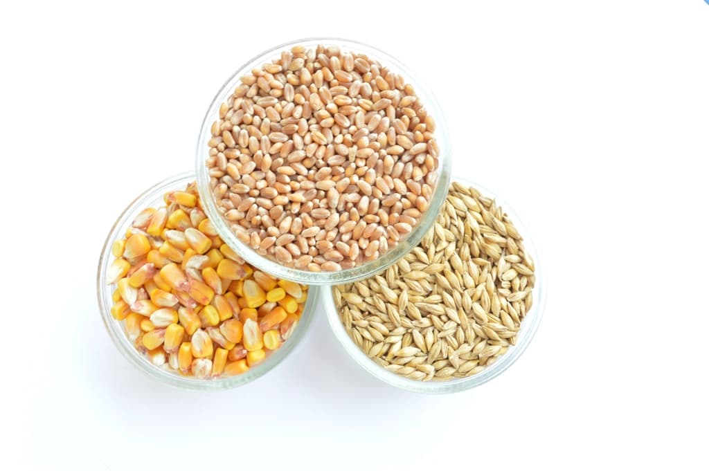 Whole millet grains in a bowl