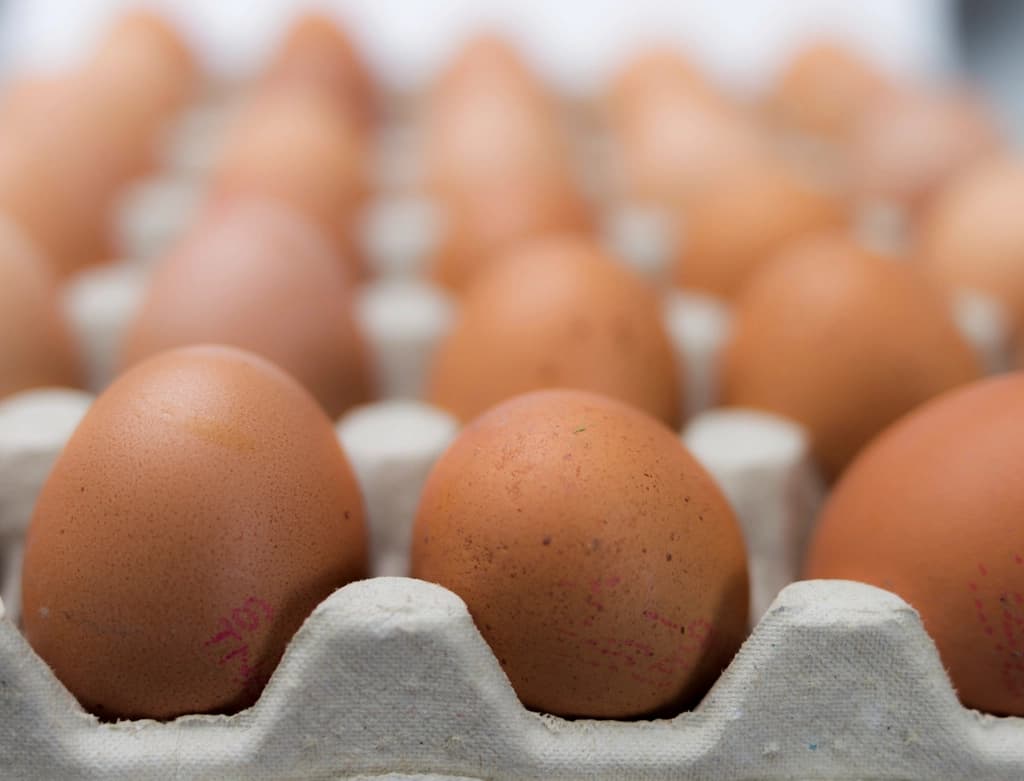 High-protein foods including eggs