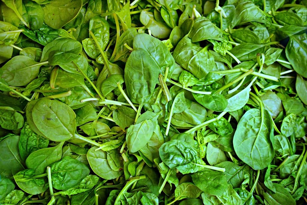 Leafy greens, a source of dietary iron